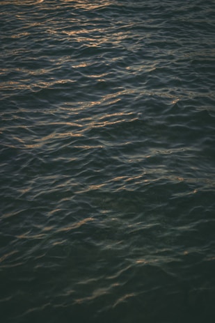 A gentle water ripple reflecting soft golden light, symbolizing purity and calm.