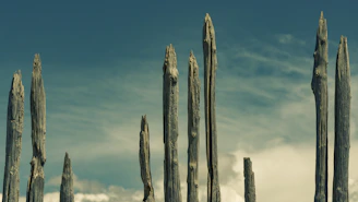 A variety of wooden and metal poles standing upright against a clear sky background.