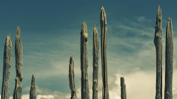 A variety of wooden and metal poles standing upright against a clear sky background.