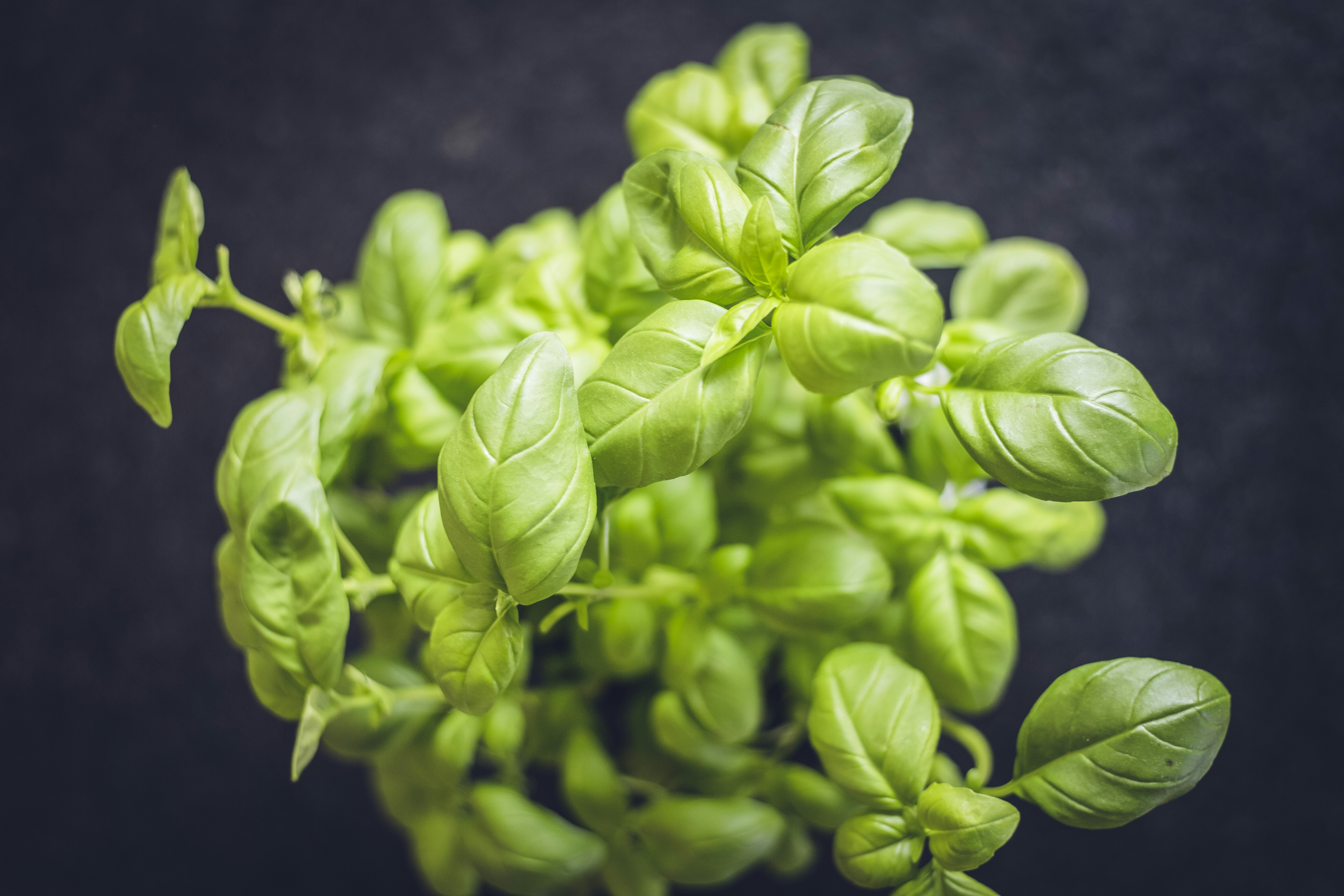 Creating Delicious Dishes with Herbs and Spices
