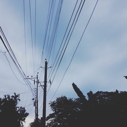 Utility poles with multiple power lines stretch across a cloudy sky. Silhouettes of trees are visible at the bottom, adding contrast to the scene.