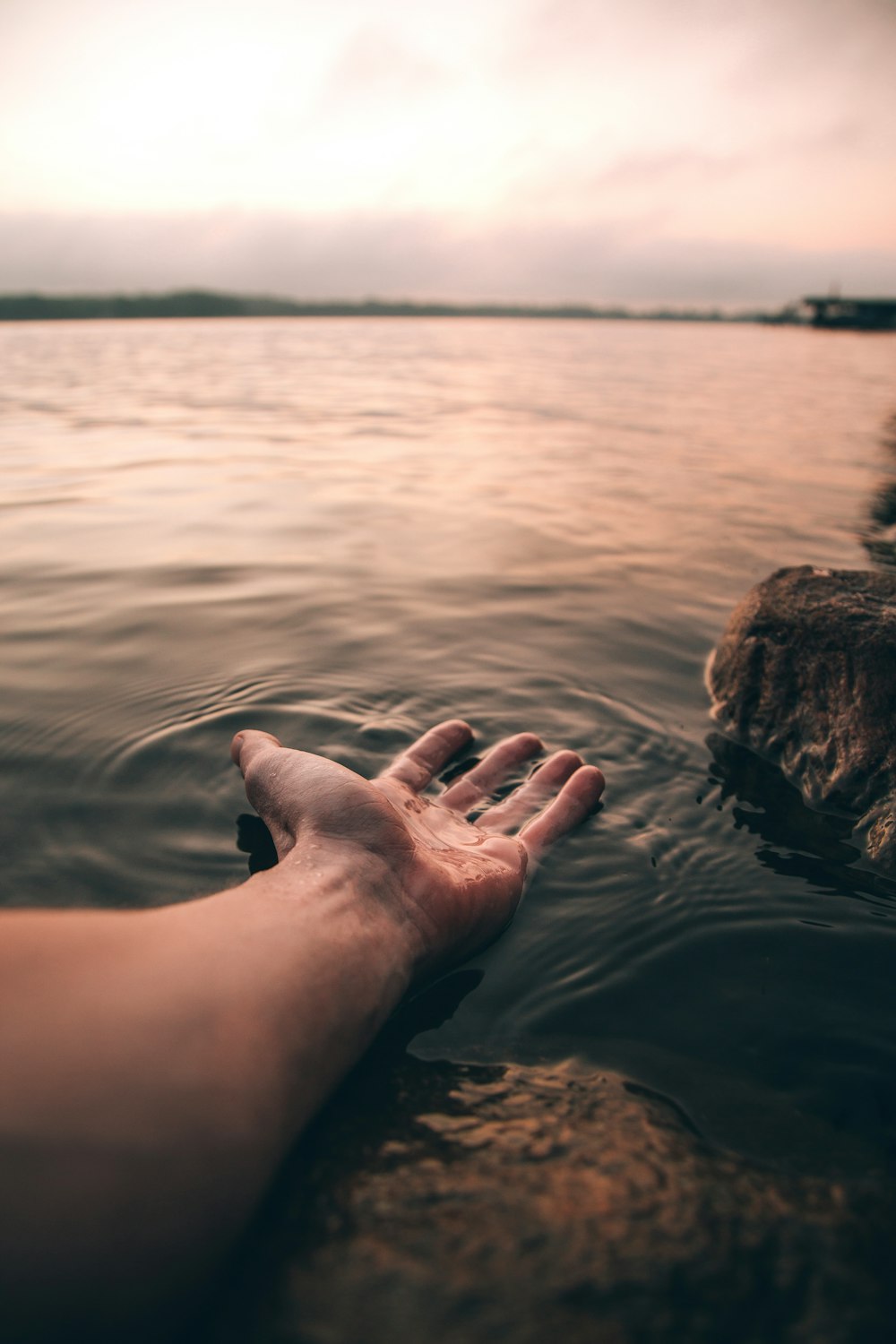 selective focus photography of person's hand on body of water