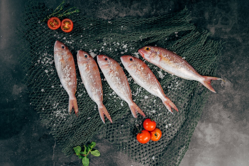 Fünf Fische zwischen Tomaten auf schwarzem Netz