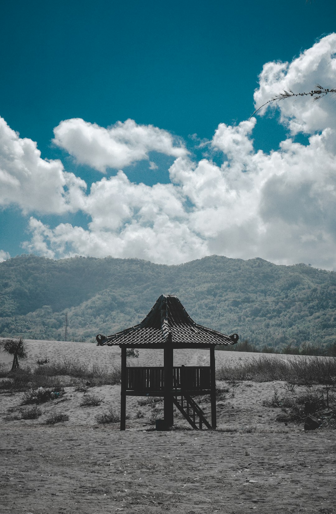 Ecoregion photo spot Taman Gumuk Pasir Surakarta City