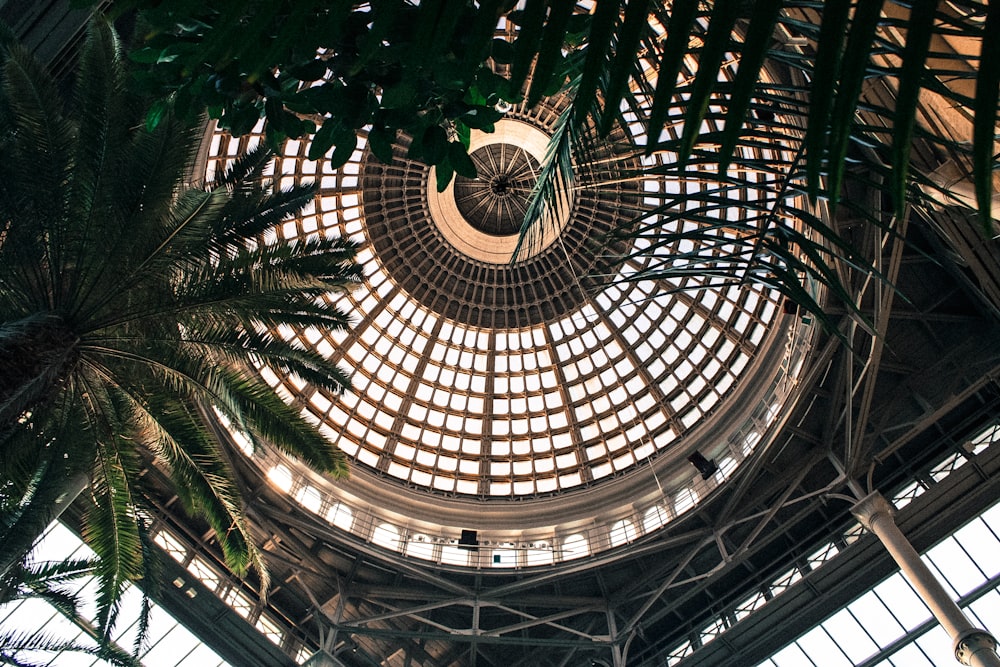 building interior