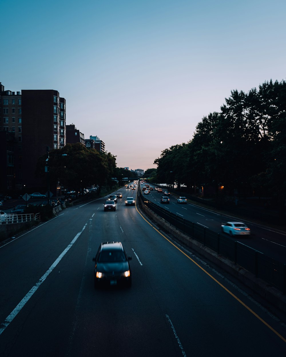 cars passing on road in between tree under blue sky