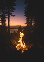 A campfire glowing warmly as twilight settles over a quiet forest clearing.