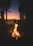 A serene campsite at sunset with a glowing campfire surrounded by tall trees.
