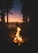 A serene campfire glowing warmly under tall pine trees at dusk, inviting quiet reflection.