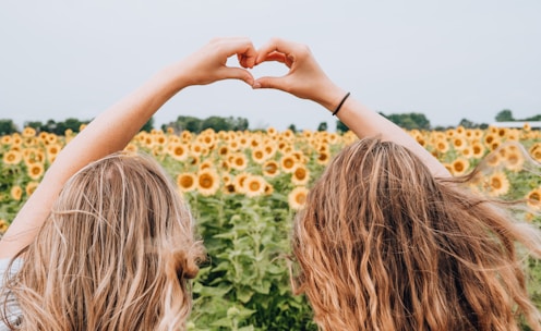 69 women forming heart-shape using hands fronting sunflower field during daytime