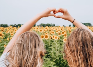 two women forming heart-shape using hands fronting sunflower field during daytime