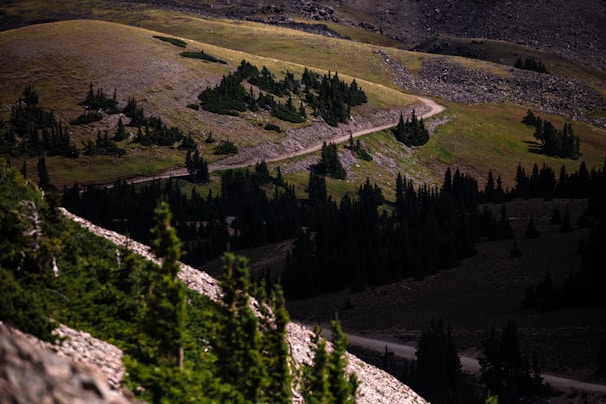 A rugged landscape features a dirt path winding through rolling green hills dotted with dense groups of evergreen trees. The area shows a mix of shadows and sunlight, casting a dynamic and dramatic lighting across the scene.