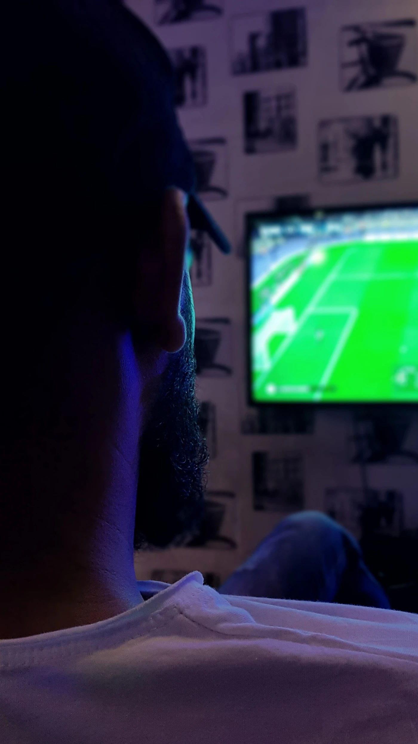 A fan watching a soccer game
