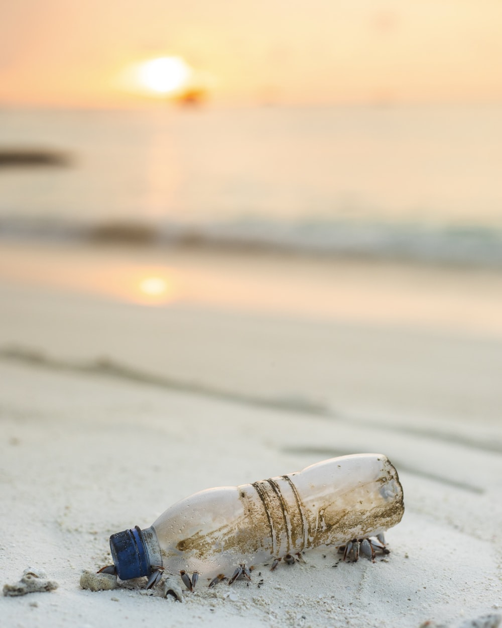 bottiglia di plastica trasparente accanto alla spiaggia