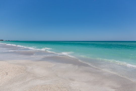 empty seashore during daytime in Anna Maria Island United States