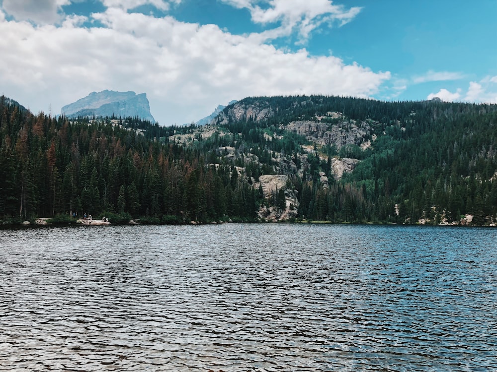 Lago na floresta durante o dia