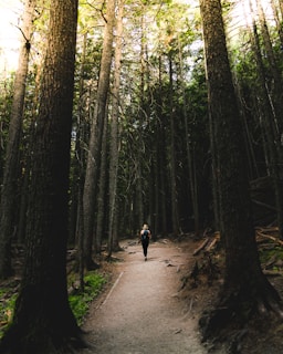 Unleash Your Mind's Potential: Discover How Exercise Can Enhance Cognitive Function