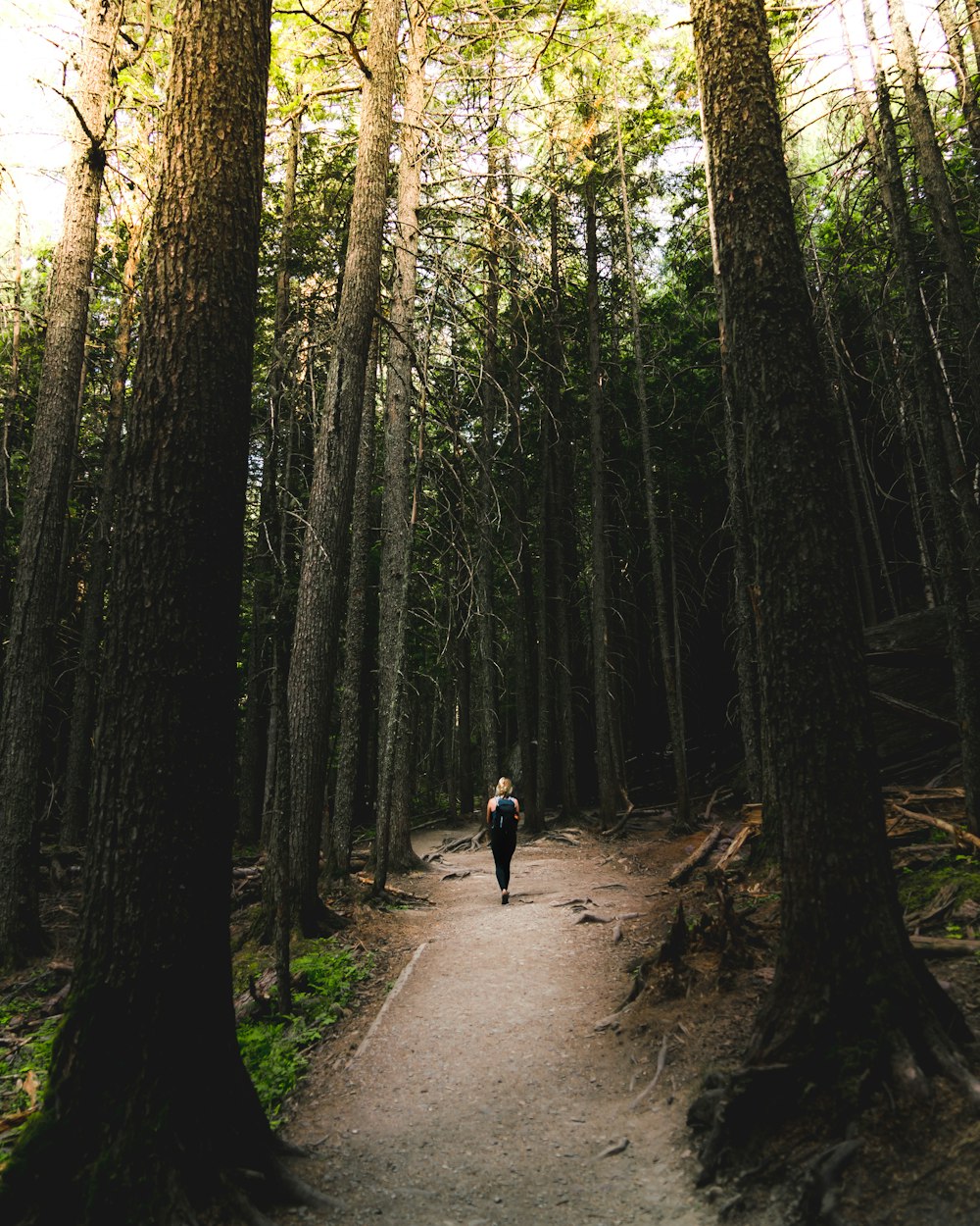 personne marchant entourée d’arbres