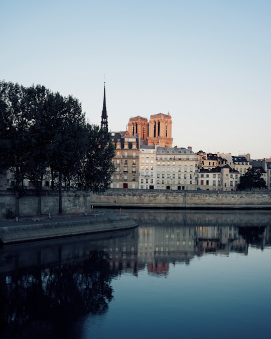 calm body of water near concrete buildings at daytime in Cathédrale Notre-Dame de Paris France
