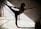 A person gracefully balances in a dance or yoga pose, extending one leg and arm in opposite directions. The scene is set against a textured concrete wall with shadows and beams of light creating geometric patterns on the floor.