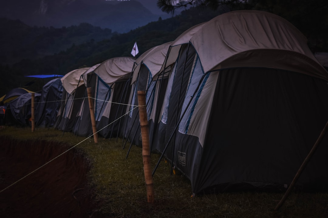 black and grey tents on green grass field,