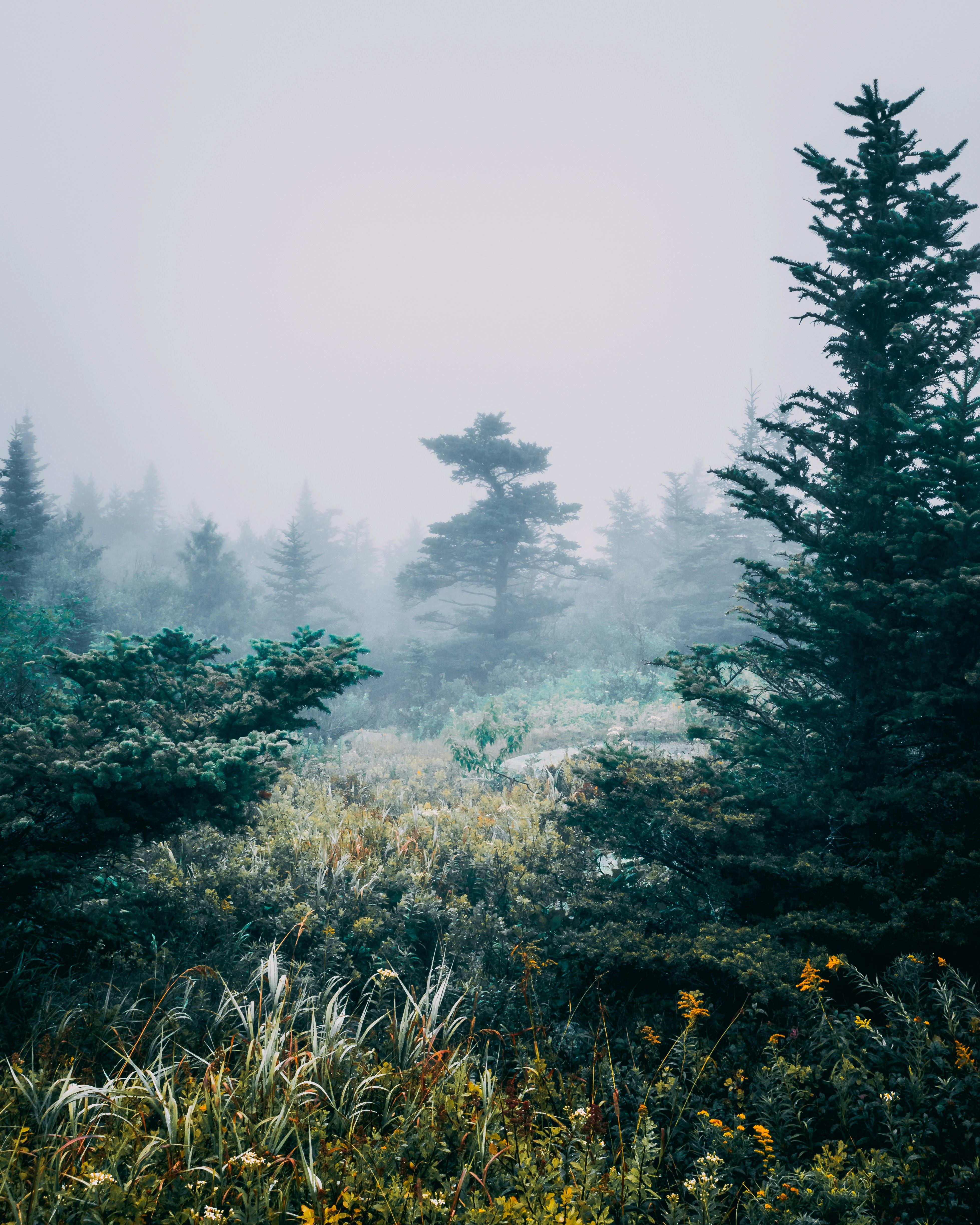 Photo by jackward
