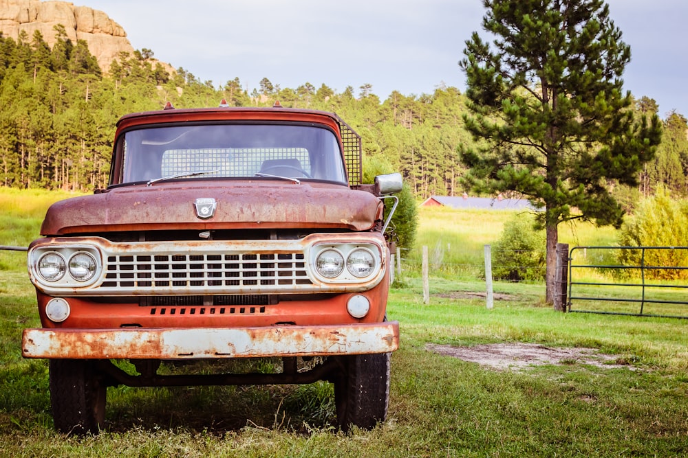 red car parked on green grass field near tree during daytime