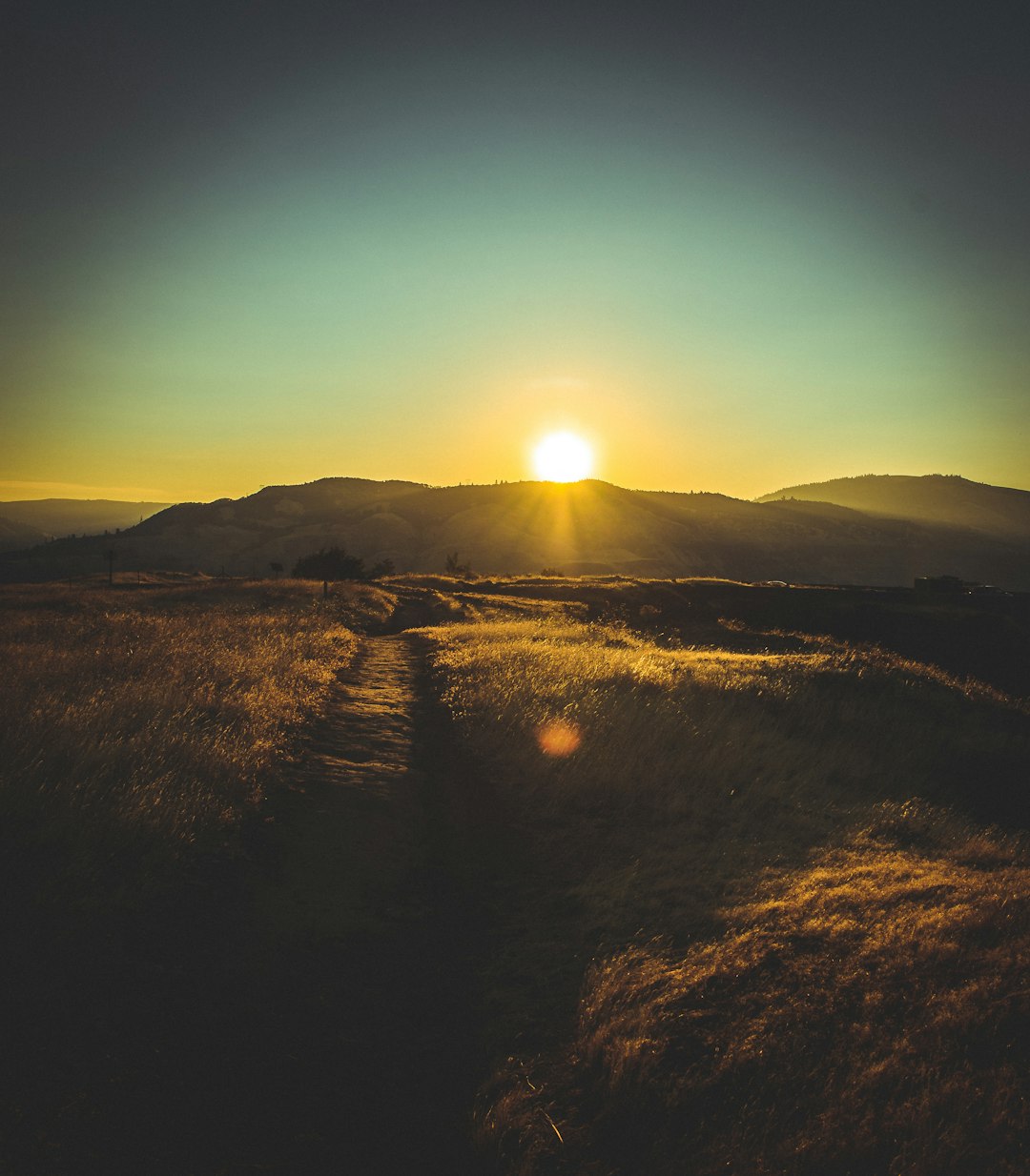 brown grass field during sunrise