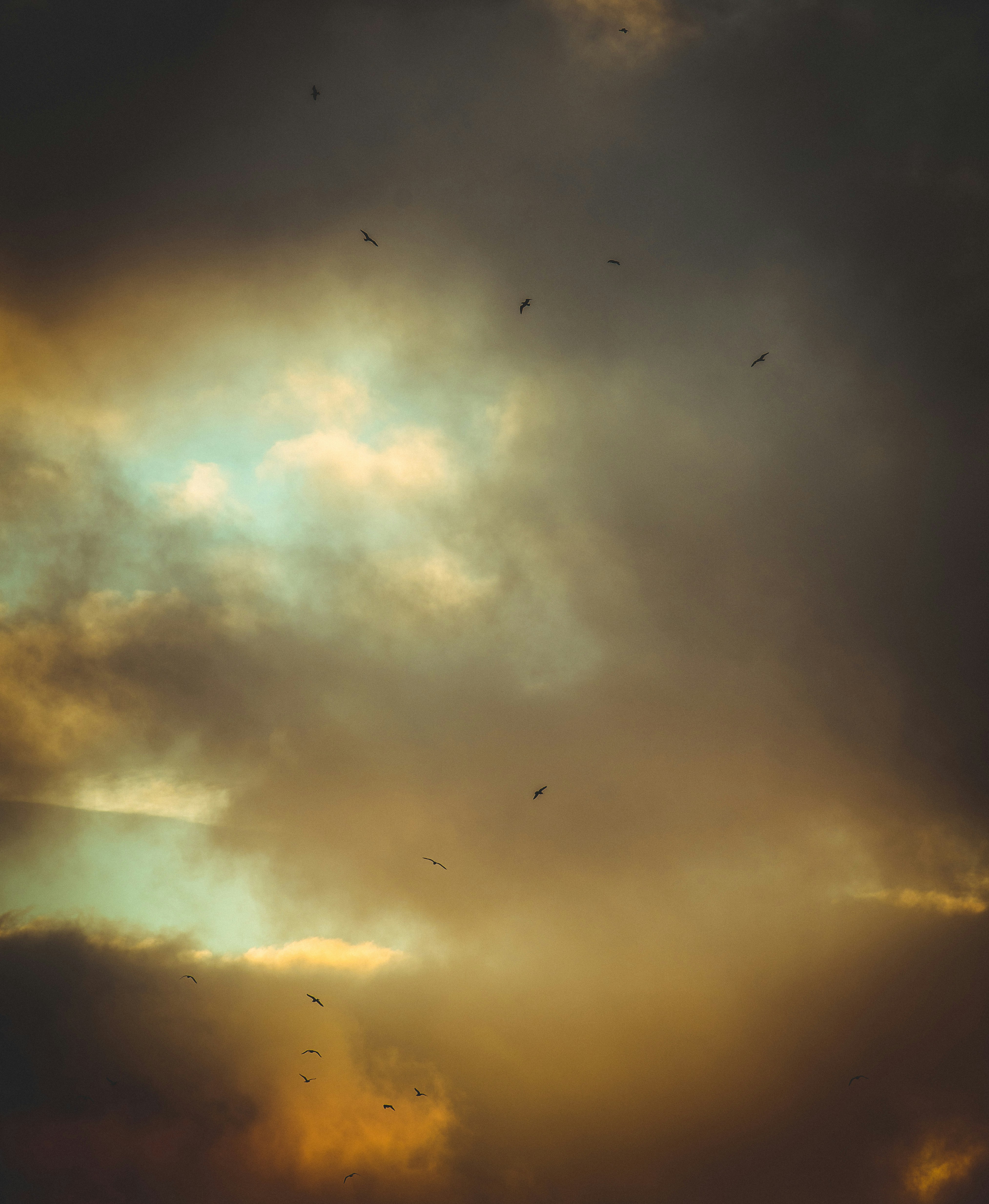 Photo by mischievous_penguins