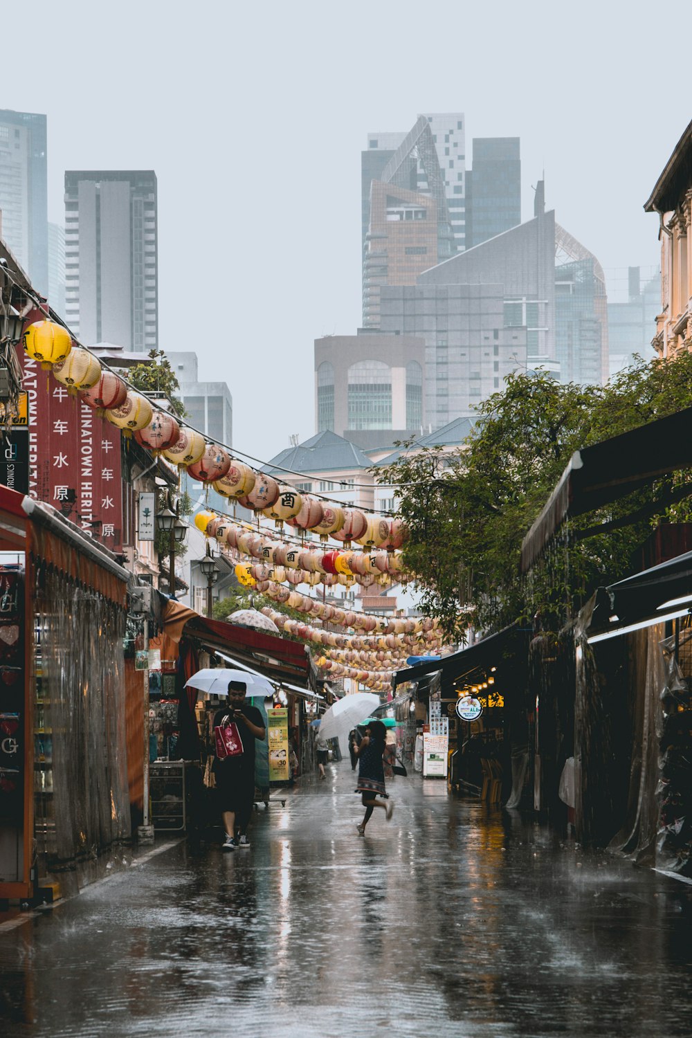 person holding umbrella walking on road