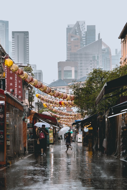 person holding umbrella walking on road in Chinatown Singapore Singapore