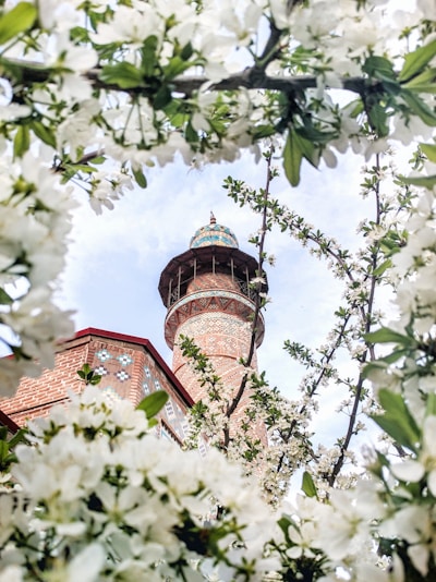 worms eye view photography of tower