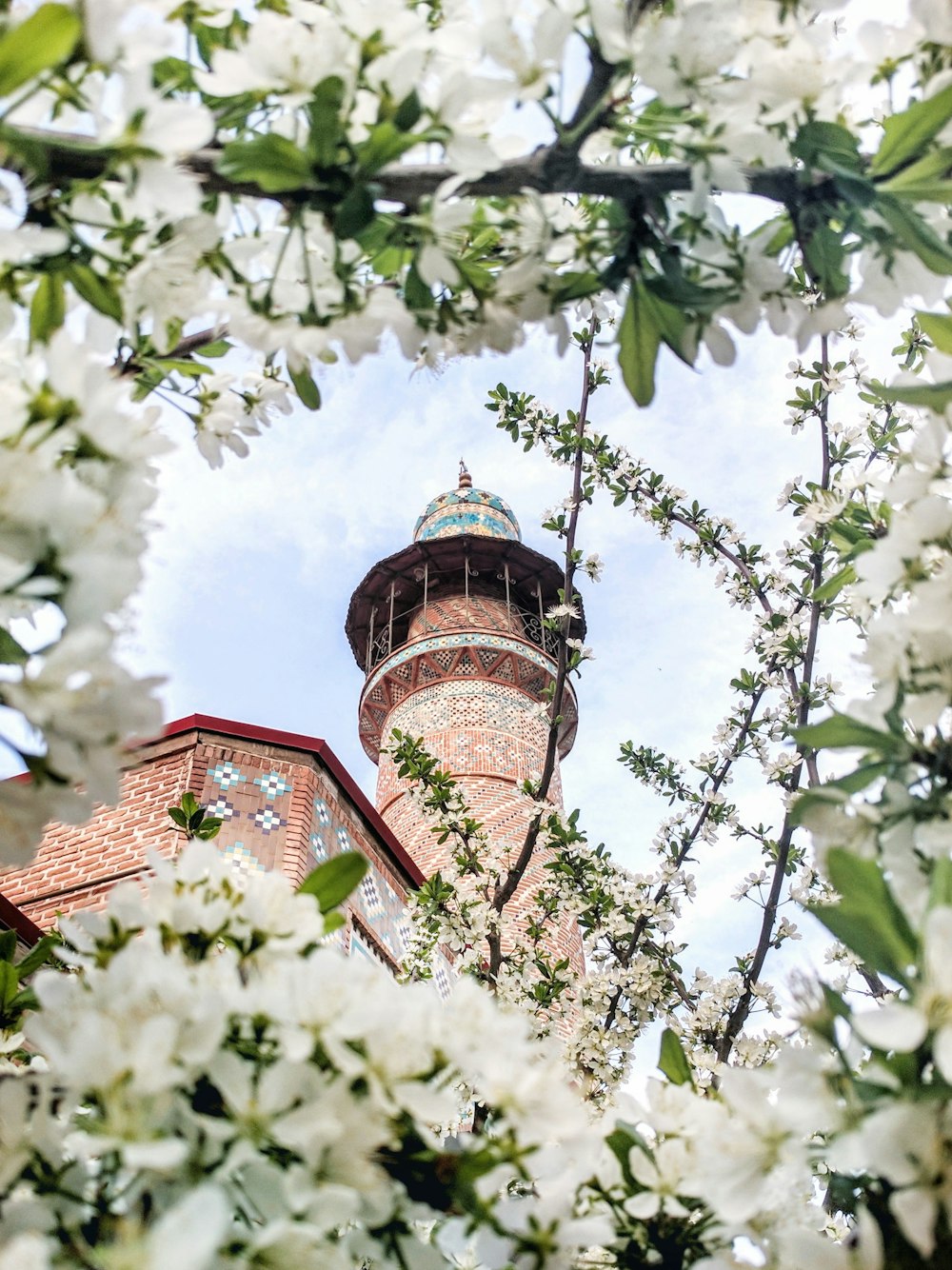 worms eye view photography of tower