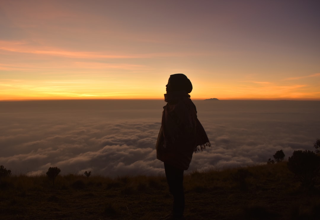 woman looking sideways standing near cliff