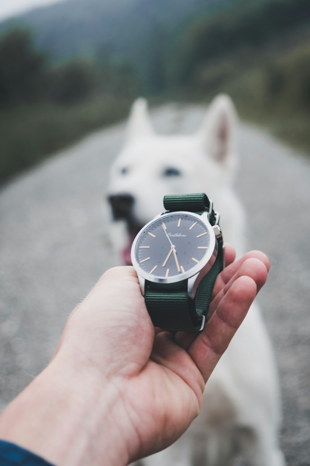 person holding analog watch