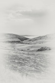 A minimalist landscape with soft pastel skies and gentle rolling hills.