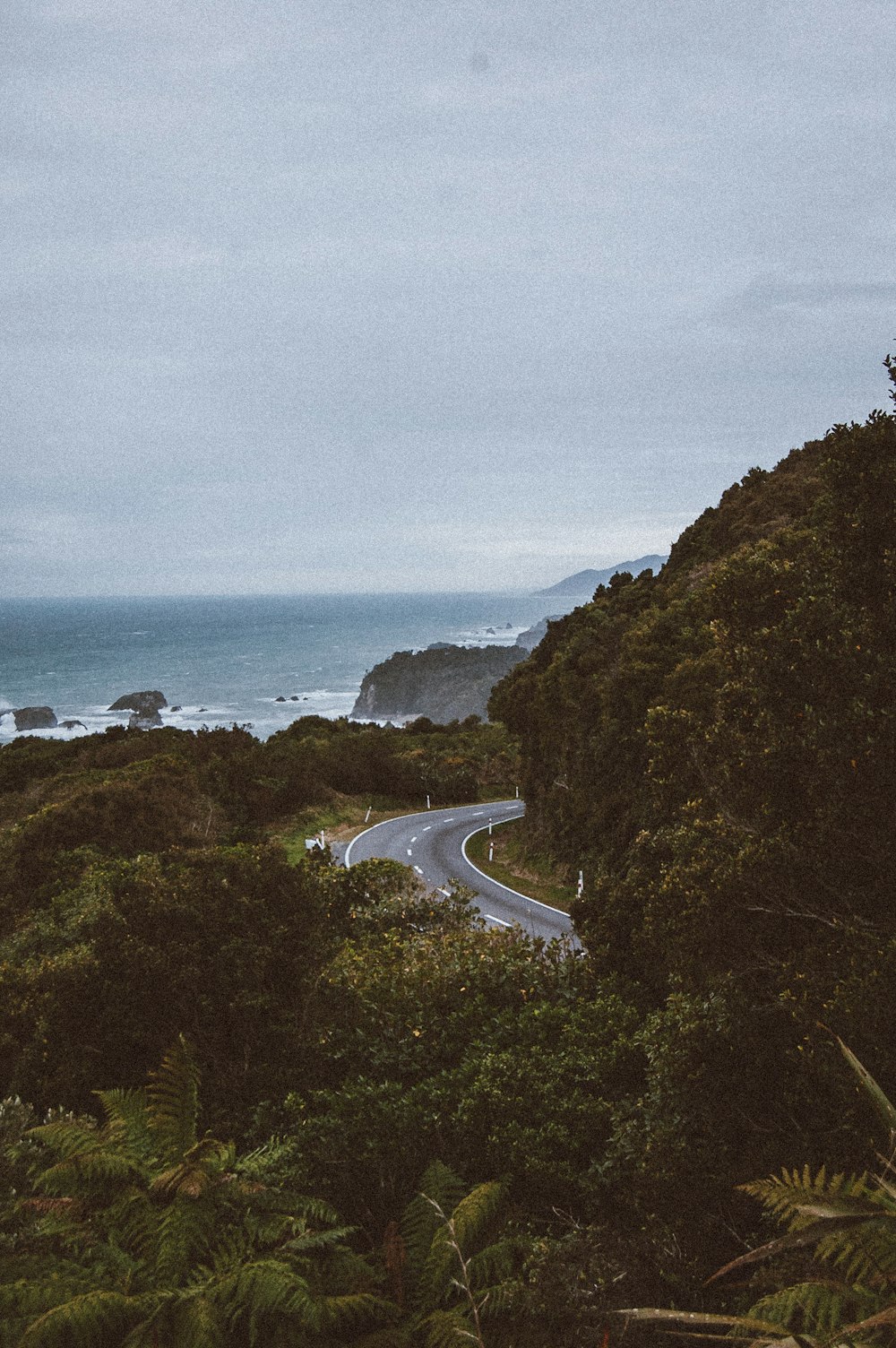 Photographie aérienne de routes et d’arbres verts pendant la journée