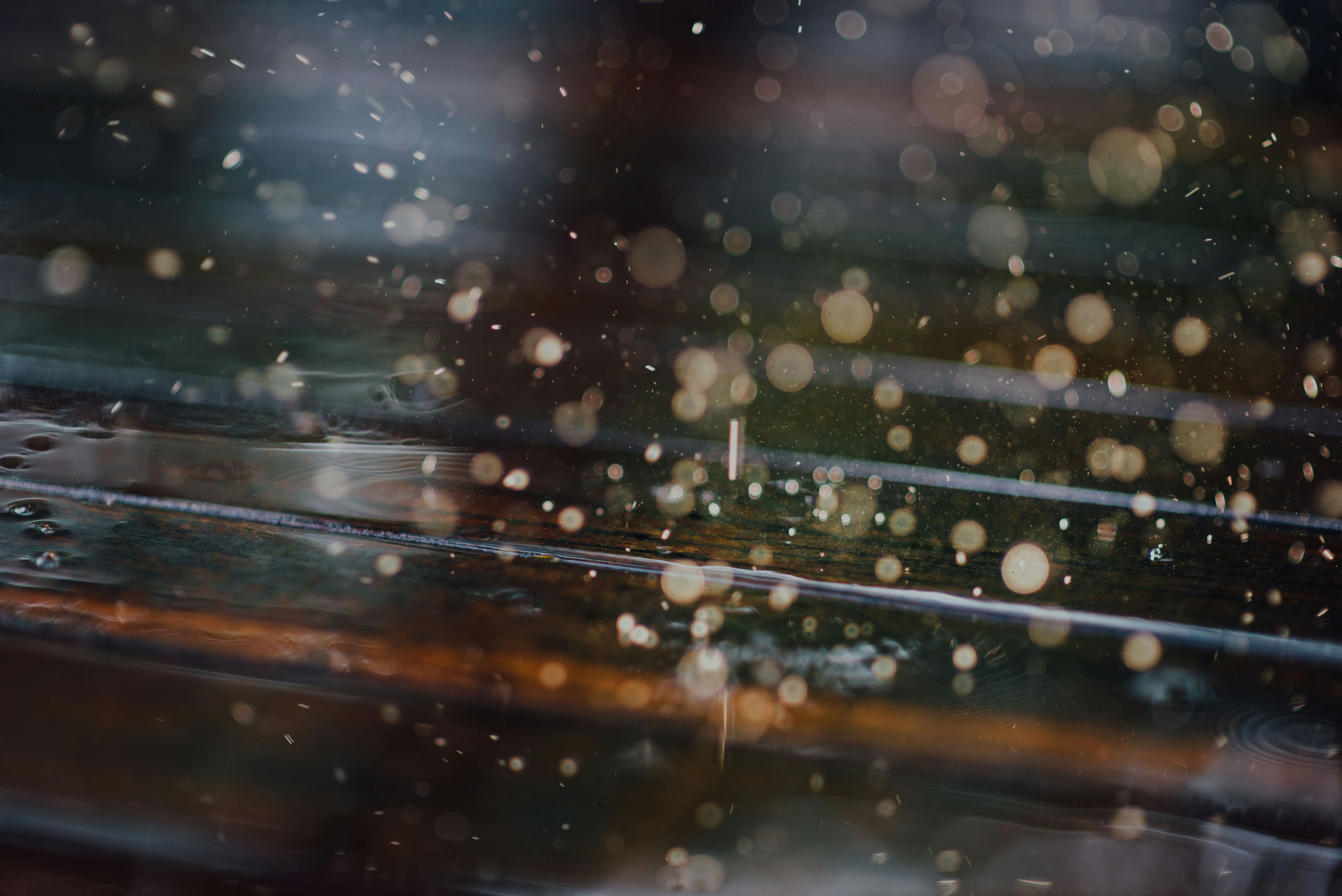 Photo by chuttersnap