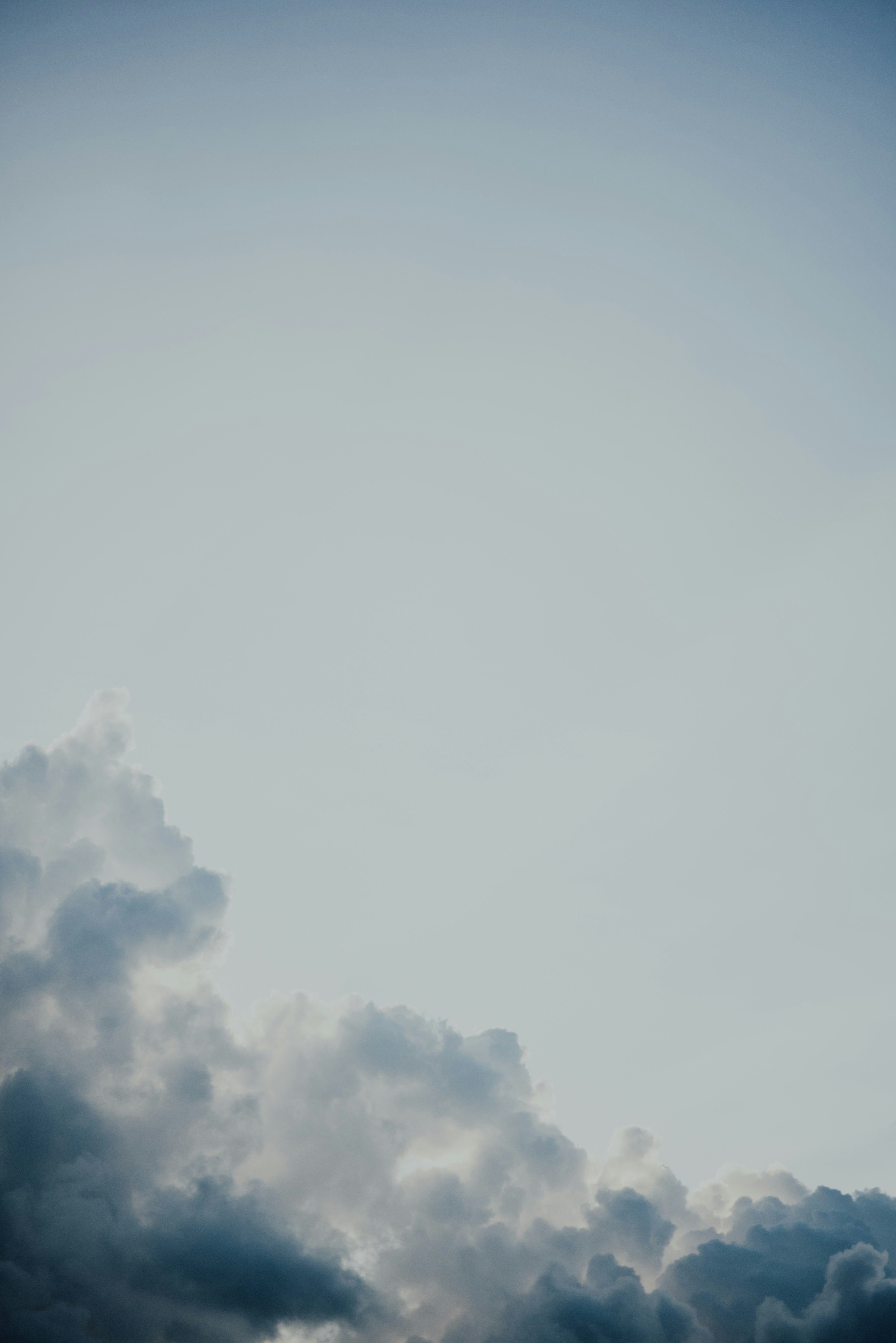 Photo by chuttersnap