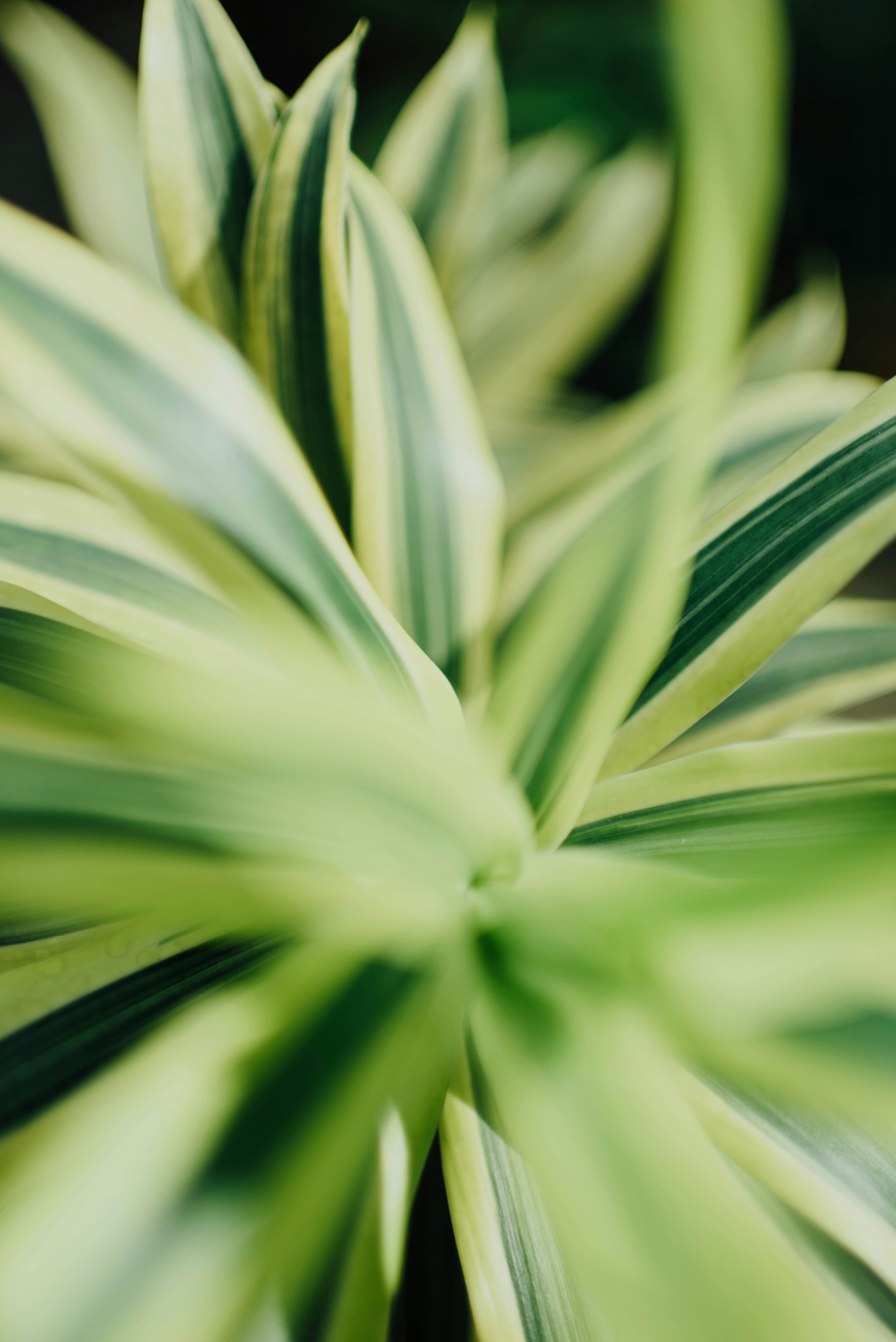 Photo by chuttersnap