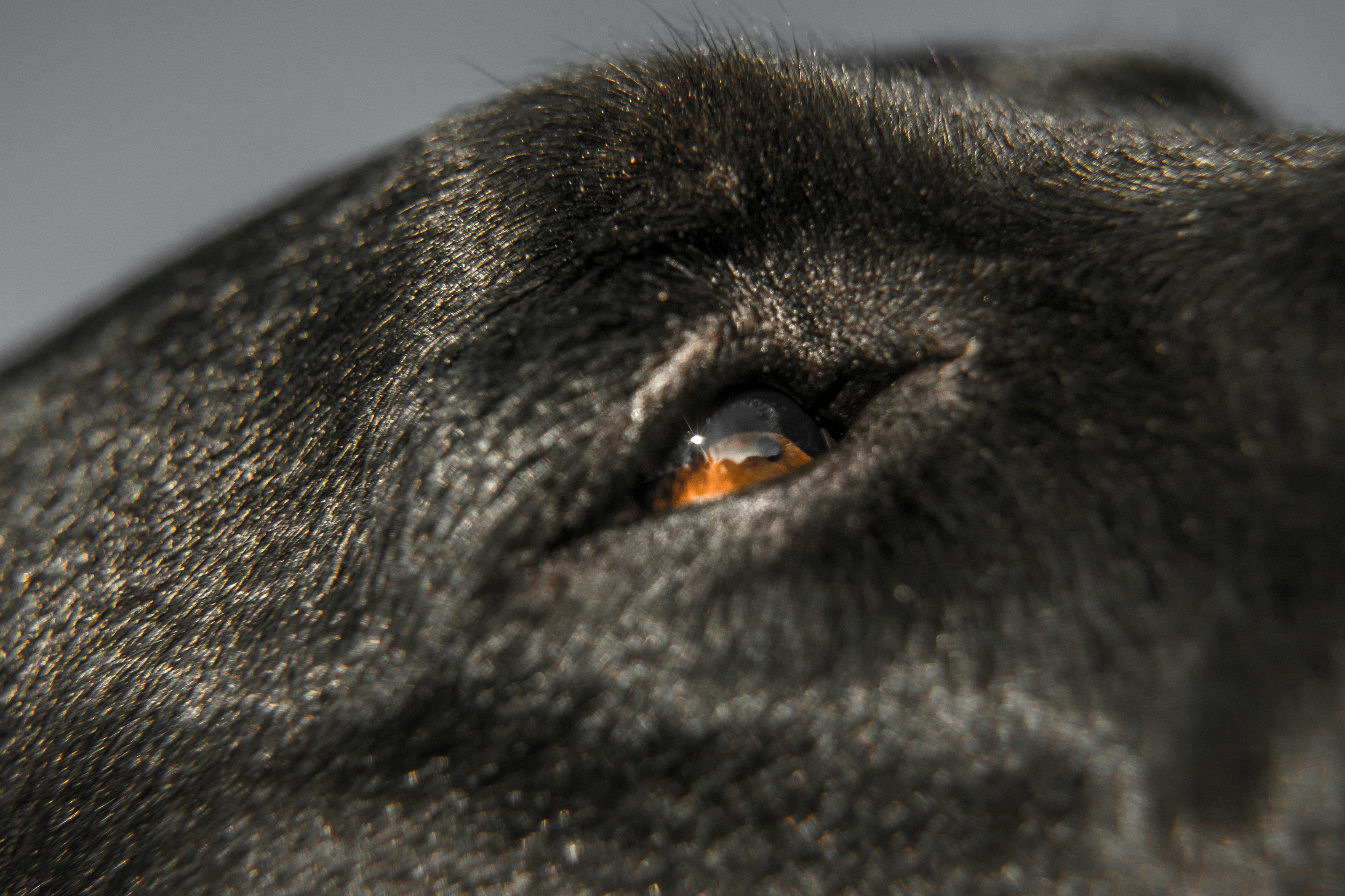 Photo by worldsbetweenlines