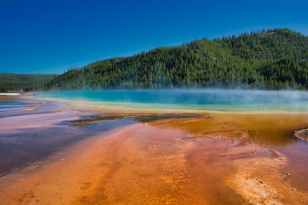 brown and blue body of water under clear blue sky during daytime