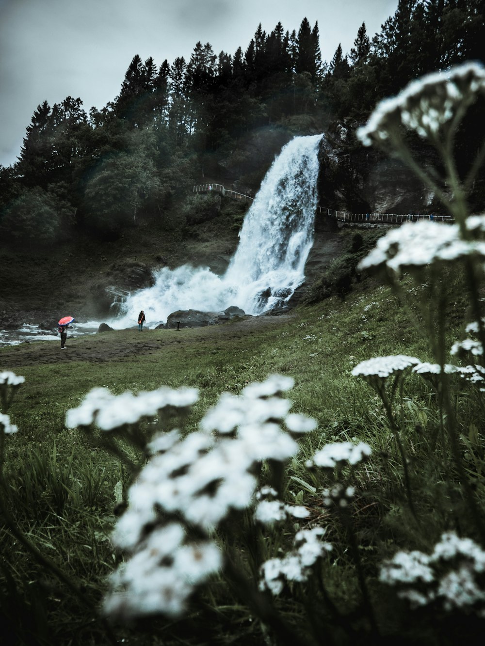 two person standing near waterfalls under nimbus clouds