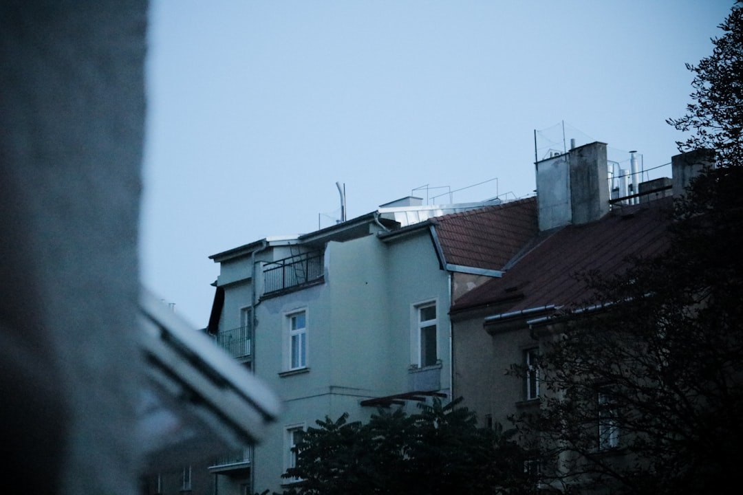 trees outside houses