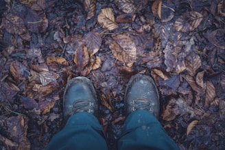 Close-up of waterproof hiking boots covered in morning dew on a forest path.