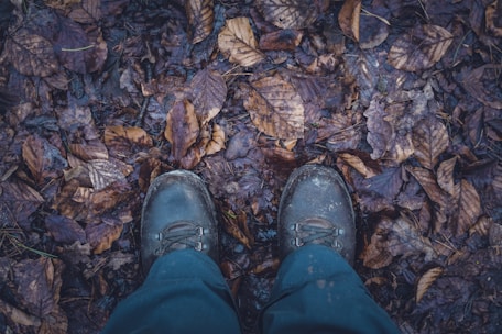Close-up of waterproof hiking boots covered in morning dew on a forest path.