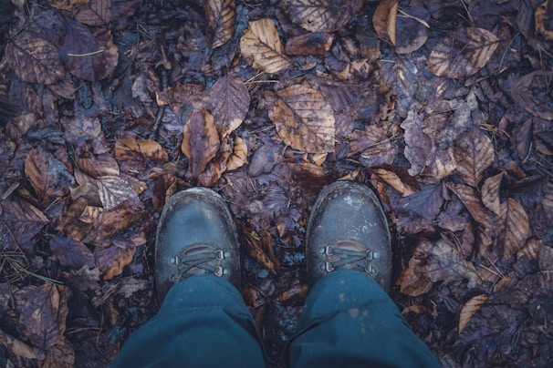 A pair of lightweight, breathable hiking boots resting on a forest floor covered with autumn leaves.