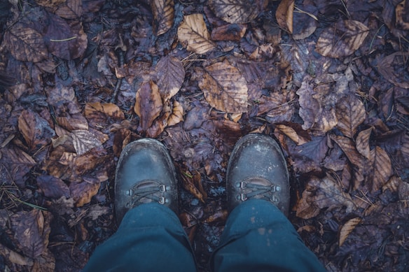 A pair of worn hiking boots standing on a forest floor covered with brown and purple fallen leaves. The leaves appear damp, suggesting a recent rain shower or moisture in the area. The overall scene conveys a sense of being close to nature, possibly during a hike in a wooded area.