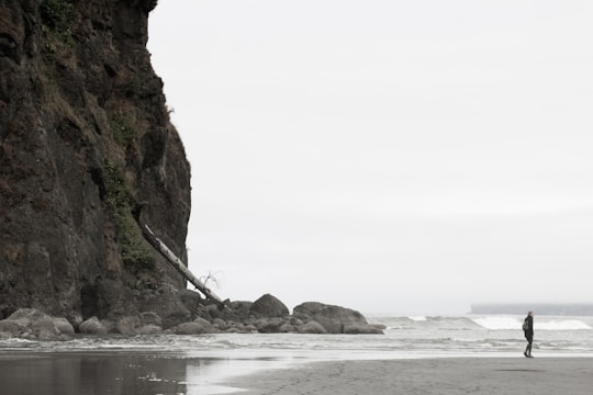 person standing behind mountain in front of large body of water during daytime in Ruby Beach United States