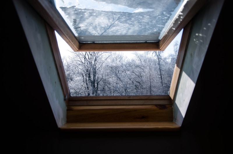 Skylight